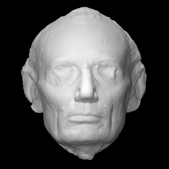 Abraham Lincoln Life Mask (Volk) image