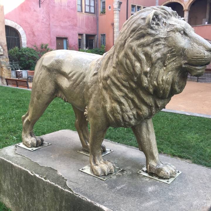 The Lion of the 2004 Biennale image