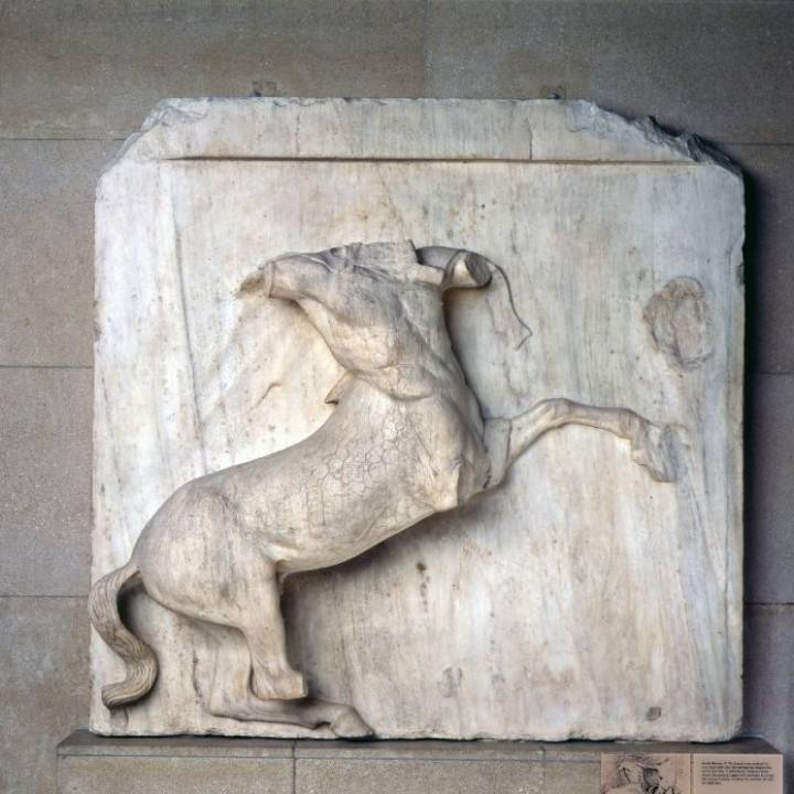 Parthenon South Metope V image