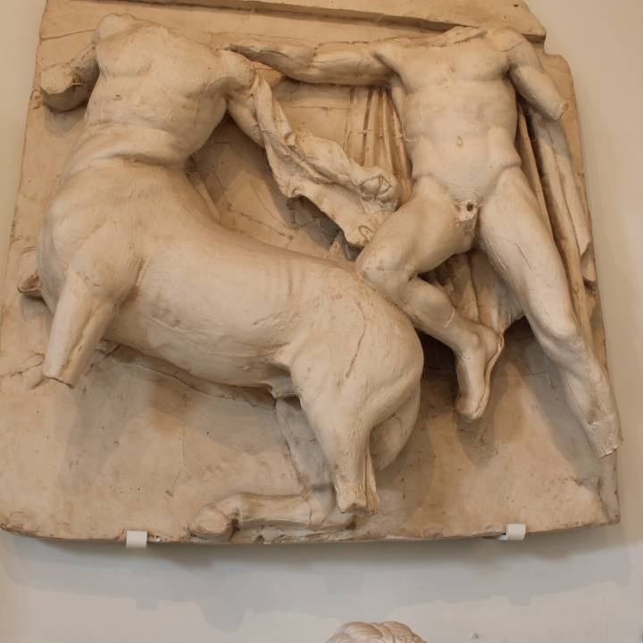 Plaster cast of the Parthenon South Metope III image