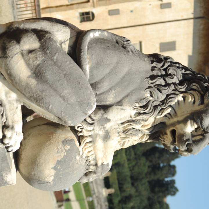 Lion Statue image