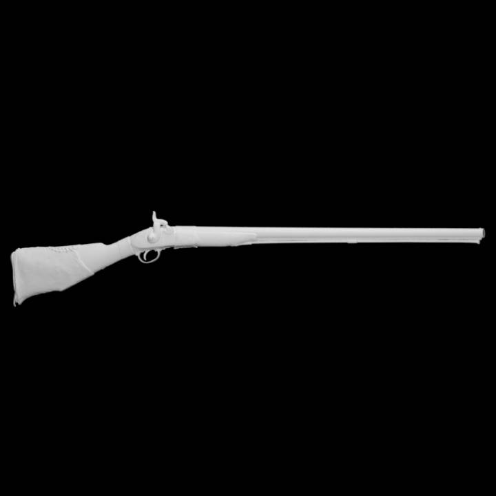 David Livingstone's Gun image