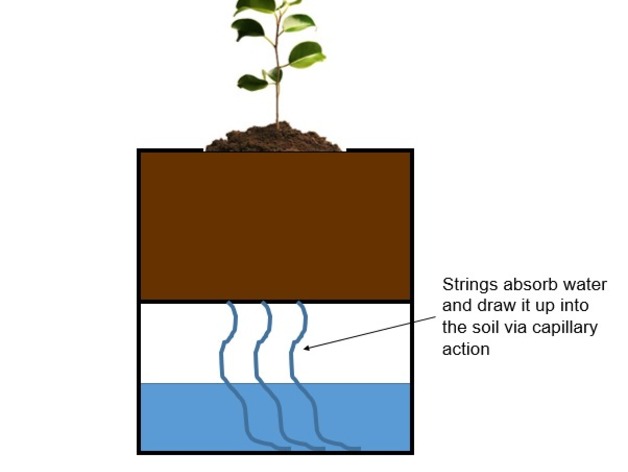 Self-Watering Planter image