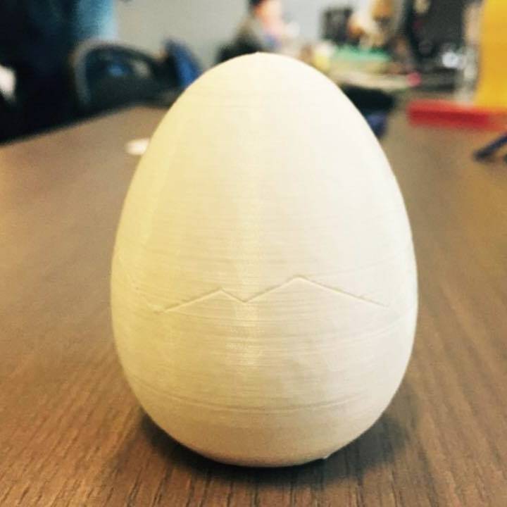 The Surprise Egg image