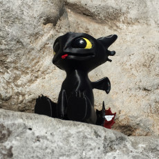 Picture of print of Toothless