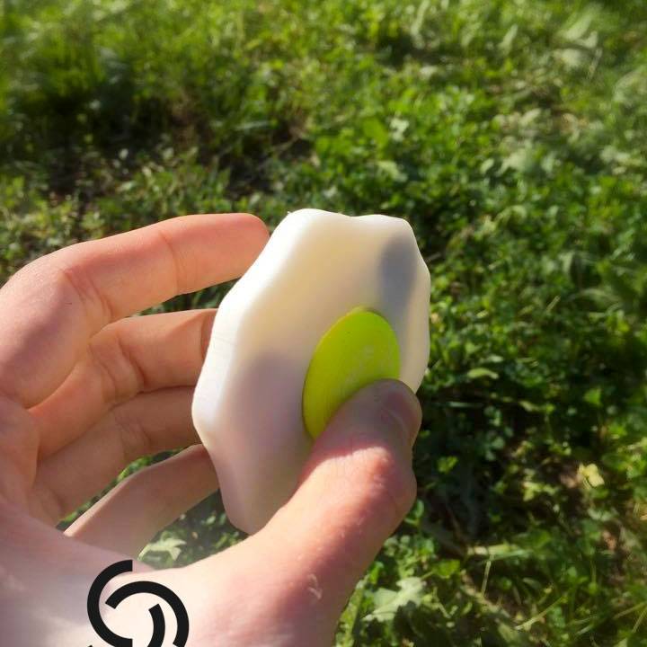 The Egg Spinner - With Hidden Weights image
