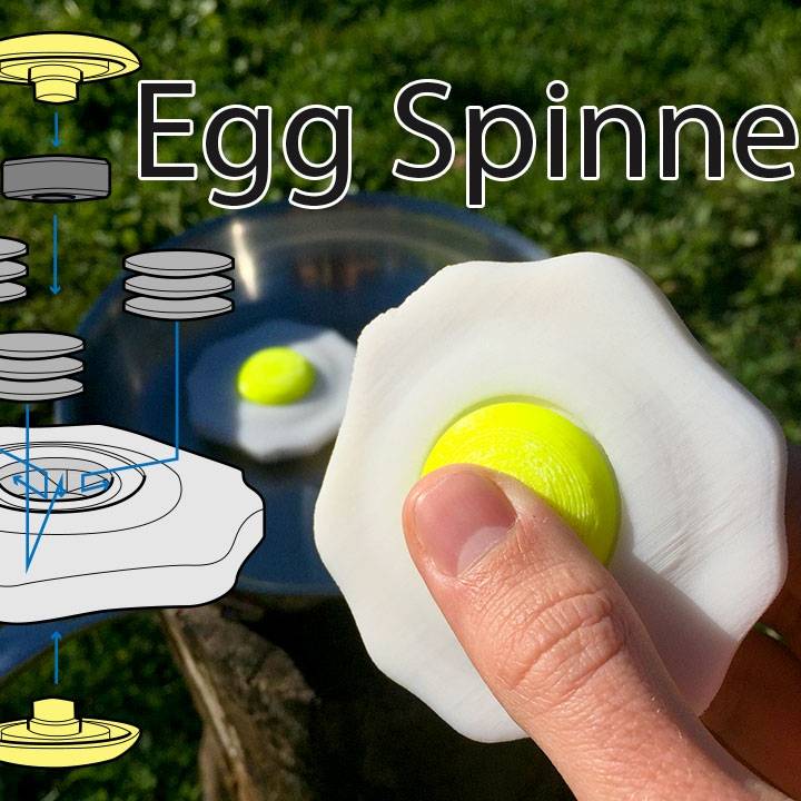 The Egg Spinner - With Hidden Weights image