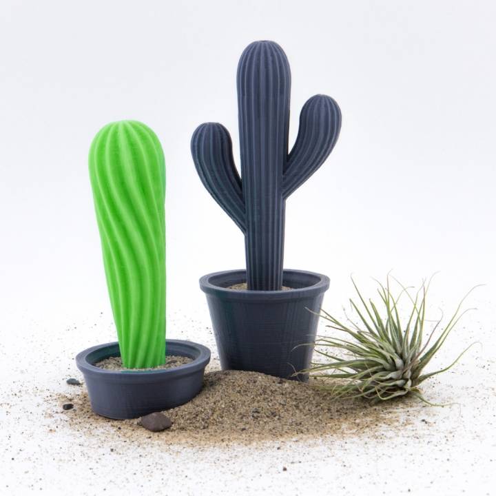 Cacti with Pots image