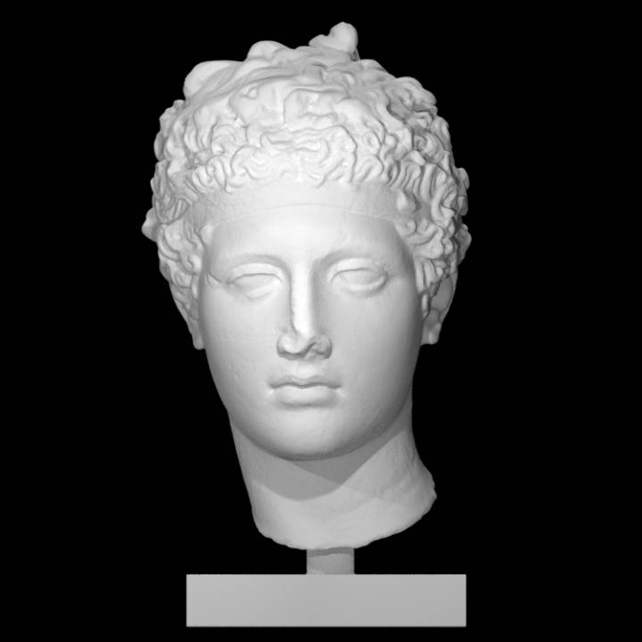 Marble Head of an Athlete image