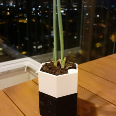 Picture of print of Self-watering Planter 3