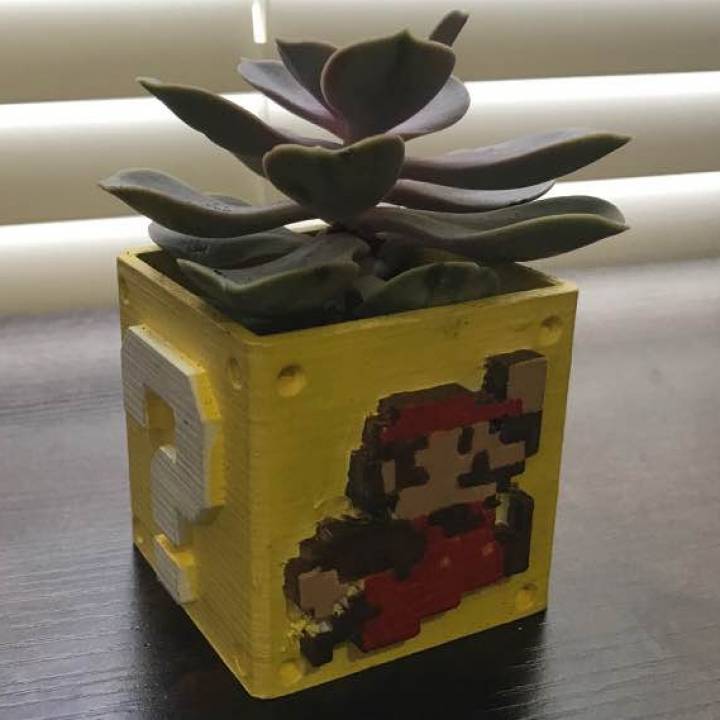 Mario Mystery Block Planter image