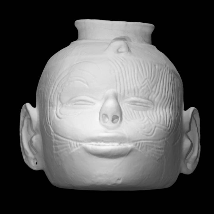 Headpot image