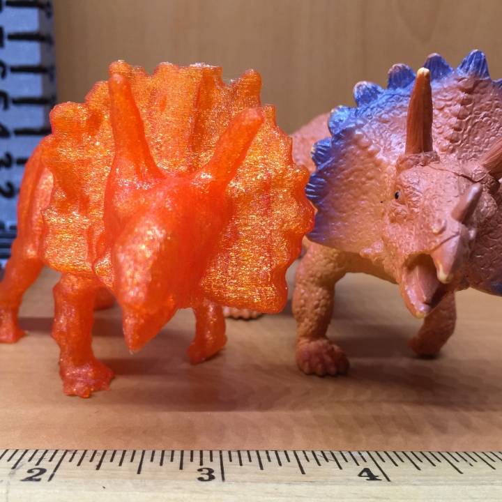 Triceratops image