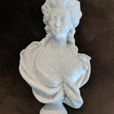 Picture of print of Bust of a Woman