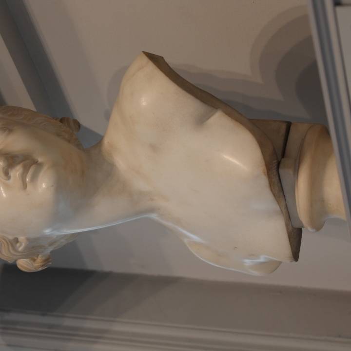 Bust of a Nymph image