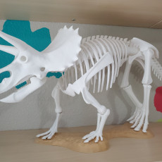 Picture of print of Triceratops prorsus Skeleton