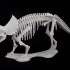Triceratops prorsus Skeleton print image