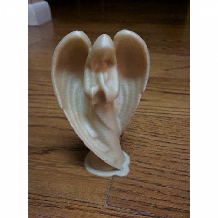 Angel Statue image