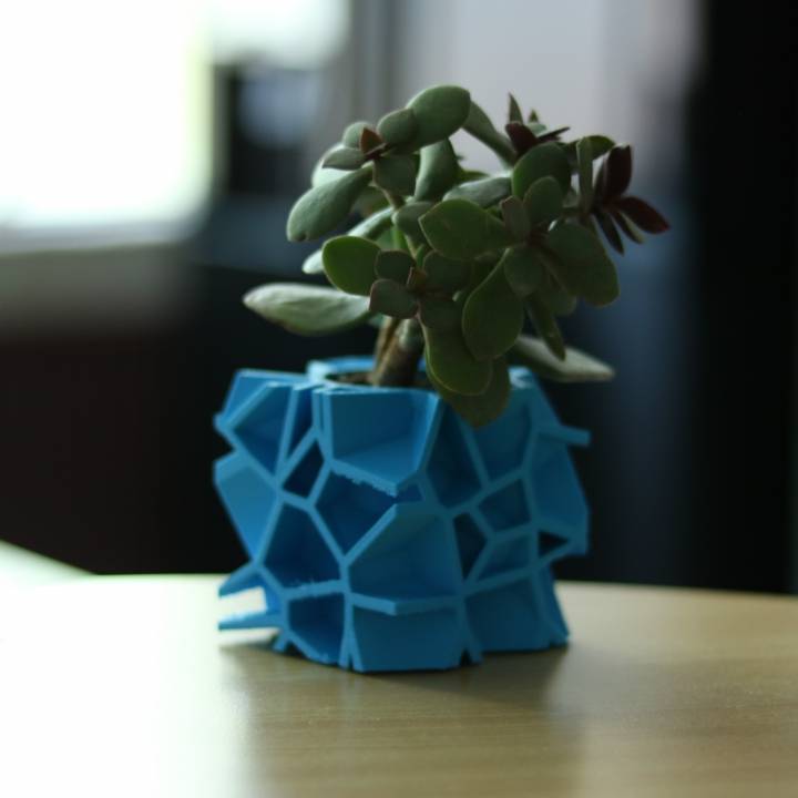 Voronoi Flower Pot - Cube Shape image