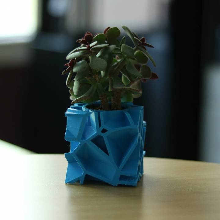 Voronoi Flower Pot - Cube Shape image