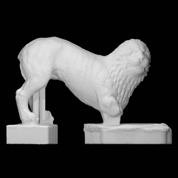Etruscan funerary lion image