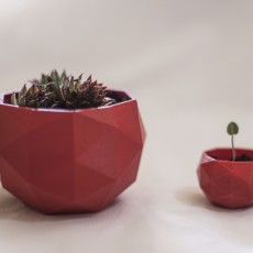 Picture of print of Flower Pot - Low Poly