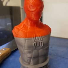 Picture of print of Vintage Spider-Man Bust