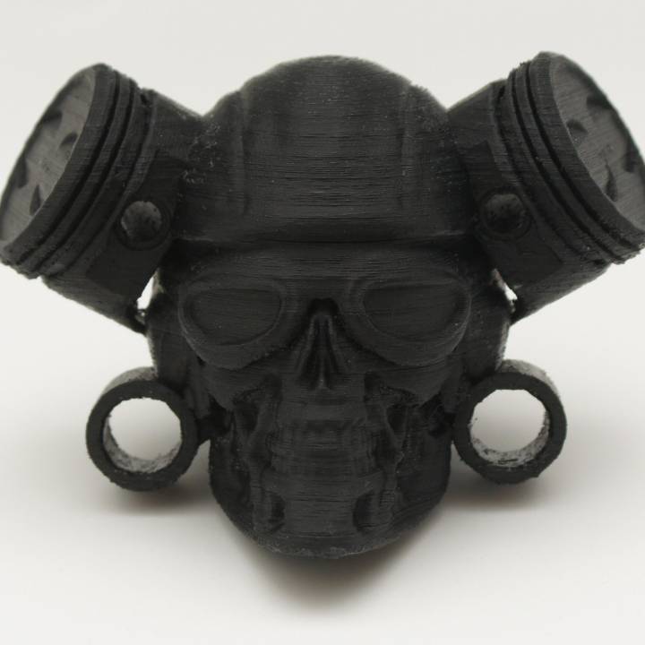 MotoSkull Terminator image