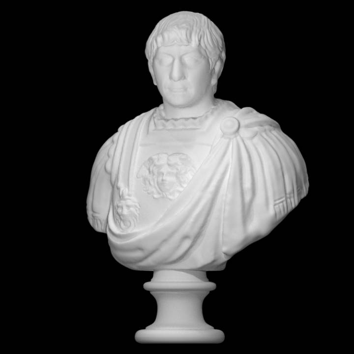 Bust of Trajan image