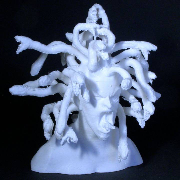 Medusa Bust image