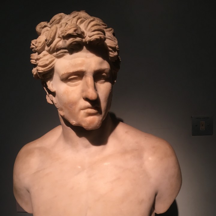 Portrait Bust (Unidentified Hellenstic) image