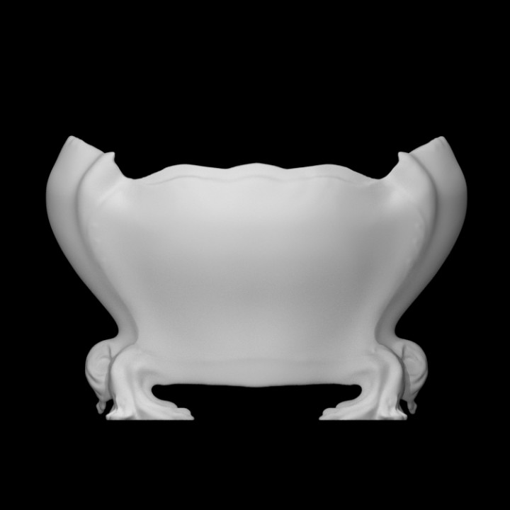 Vase of Sèvres image