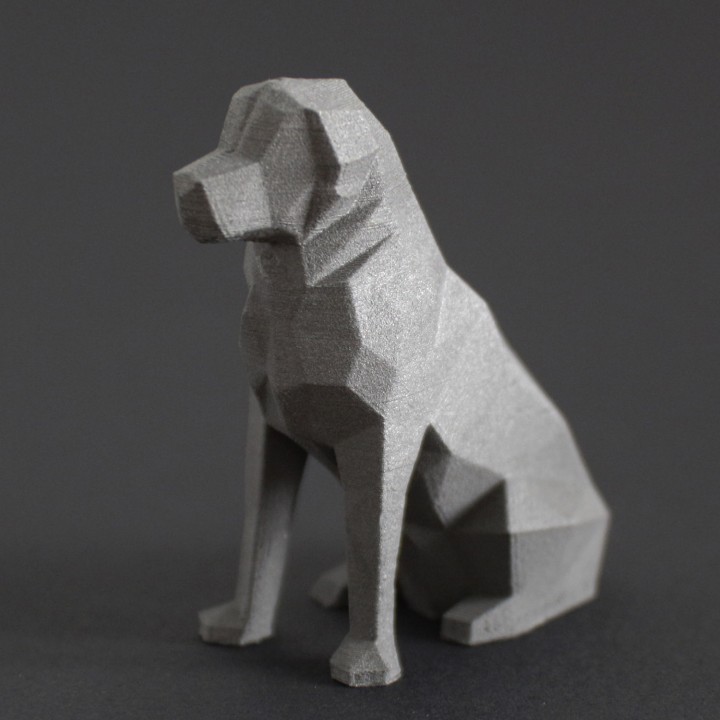 Low Poly Dog - Beto image