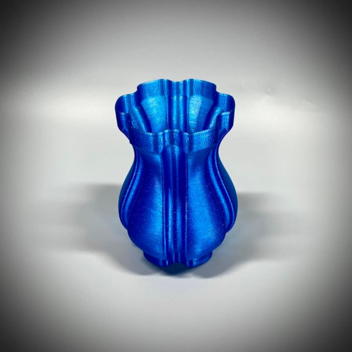 Tulip Vase image