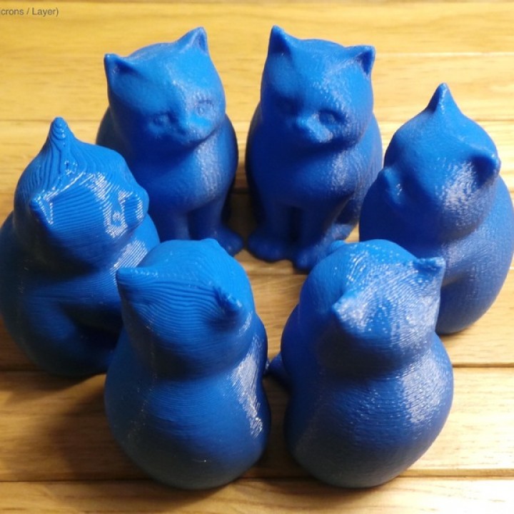MakerBot Digitizer LaserCat - Layer thickness tests image
