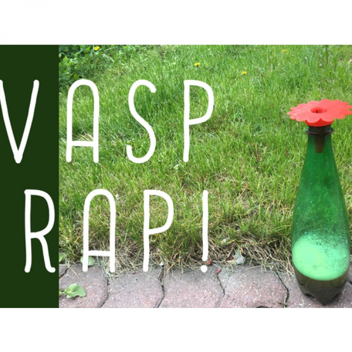 Wasp Trap (redesigned!) image