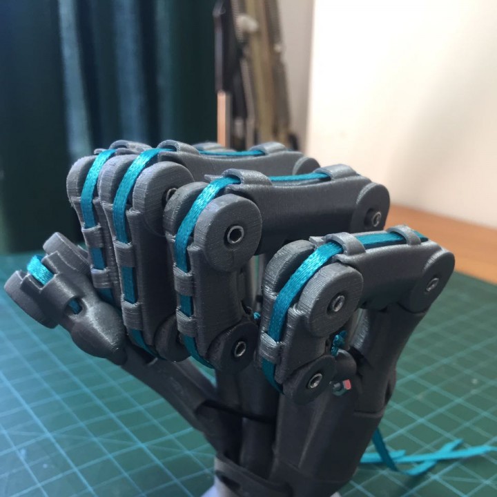 3D Printed Bionic Skeleton Hand image