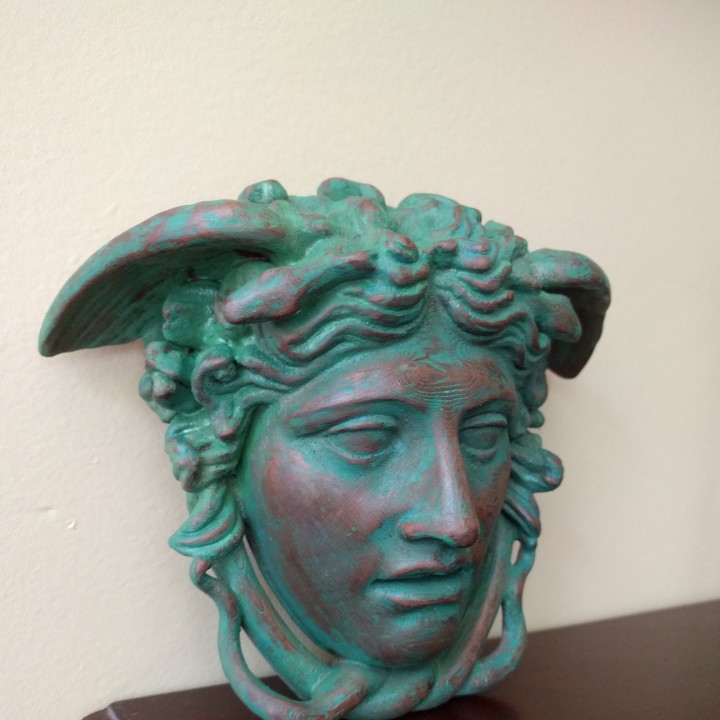 Medusa Rondanini Sculpture image