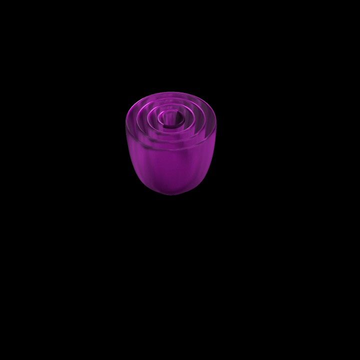 Simple Rose Vase image