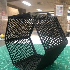 Picture of print of Hexagon fractal shelf