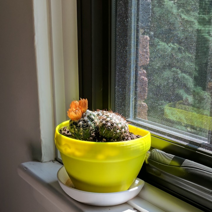 windowsill planter pot image