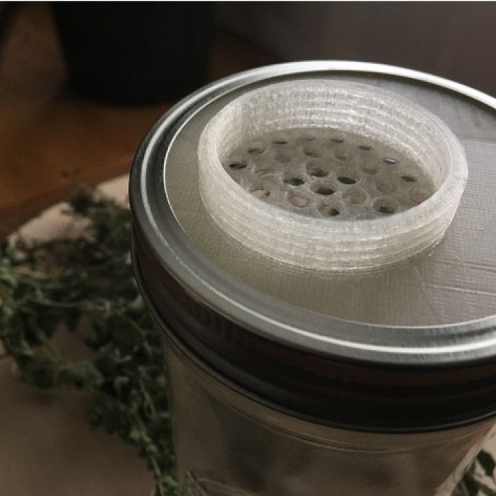 Mason Jar Seasoning / Spice Lid! image
