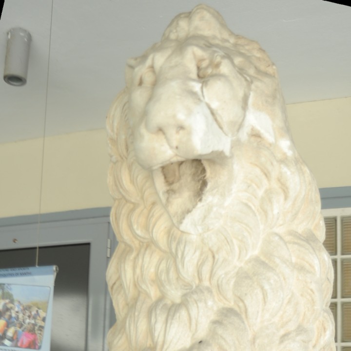 Marble lion image