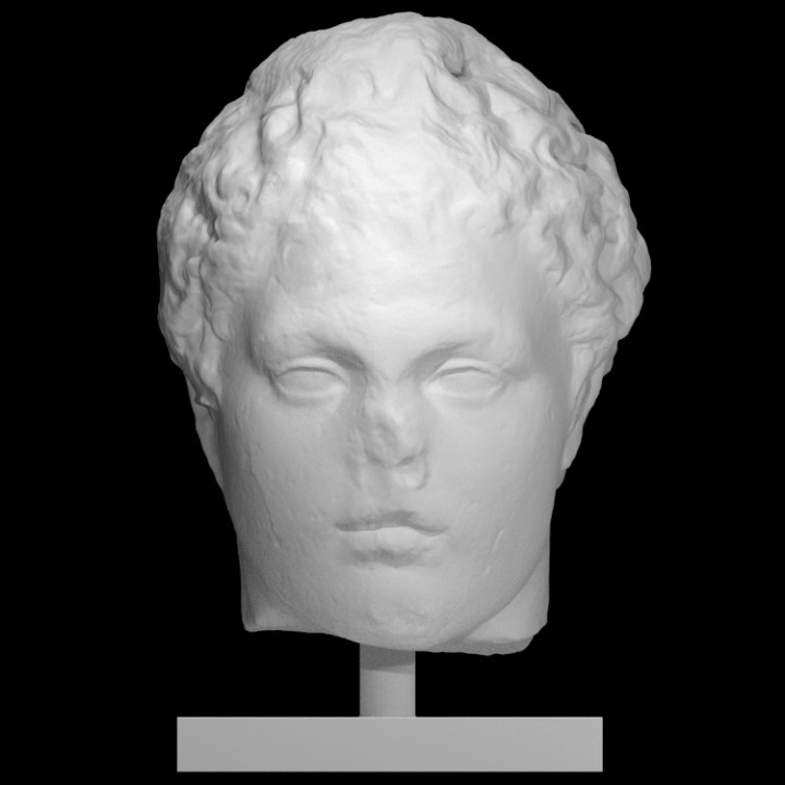Head of Meleagre image