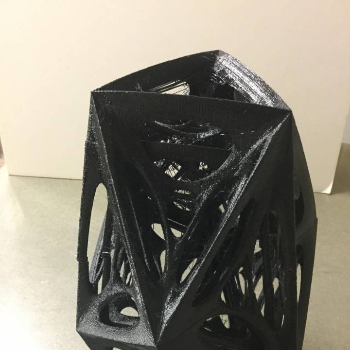 Organic Polyhedron Vase image