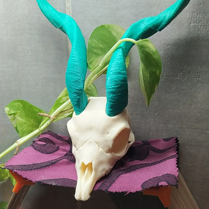 3D Print of Markhor Skull by constancev