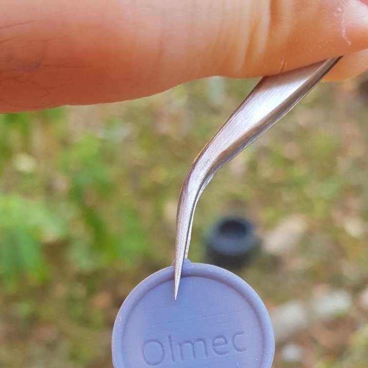 Olmec-Locket image