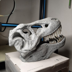 Picture of print of T-Rex skull improved as reptile hide