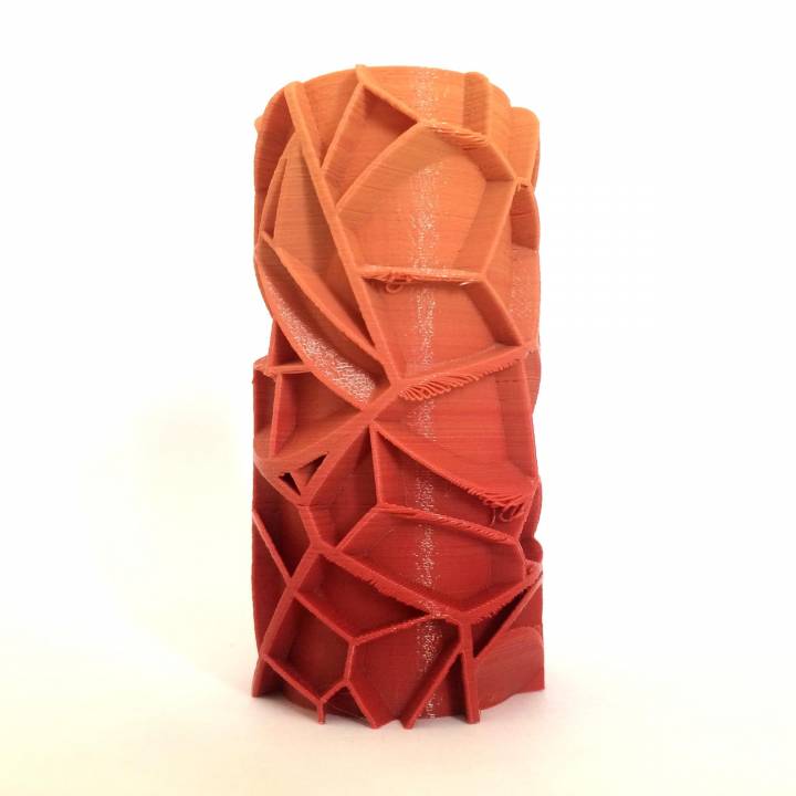 Voronoi Vase image