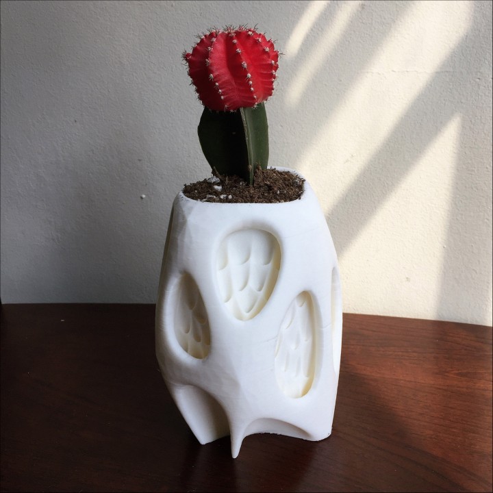 Cactus Vase image
